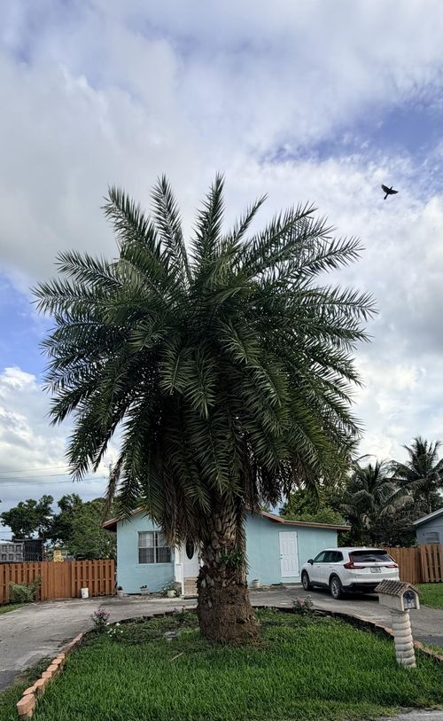 208 Nw Avenue H Pl, Belle Glade, FL, 33430-1914 | Card Image