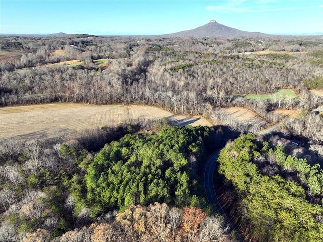 Lot 2- 0 Bowen Rd, Home with 0 bedrooms, 0 bathrooms and null parking in Pinnacle NC | Image 5