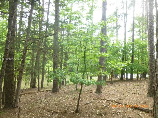 8 Colleen Pt., Home with 0 bedrooms, 0 bathrooms and null parking in McCormick SC | Image 4