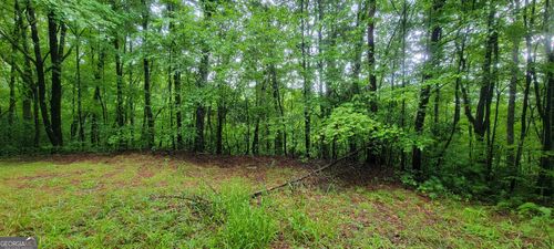 0 Bonanza Ln, Tiger, GA, 30576 | Card Image