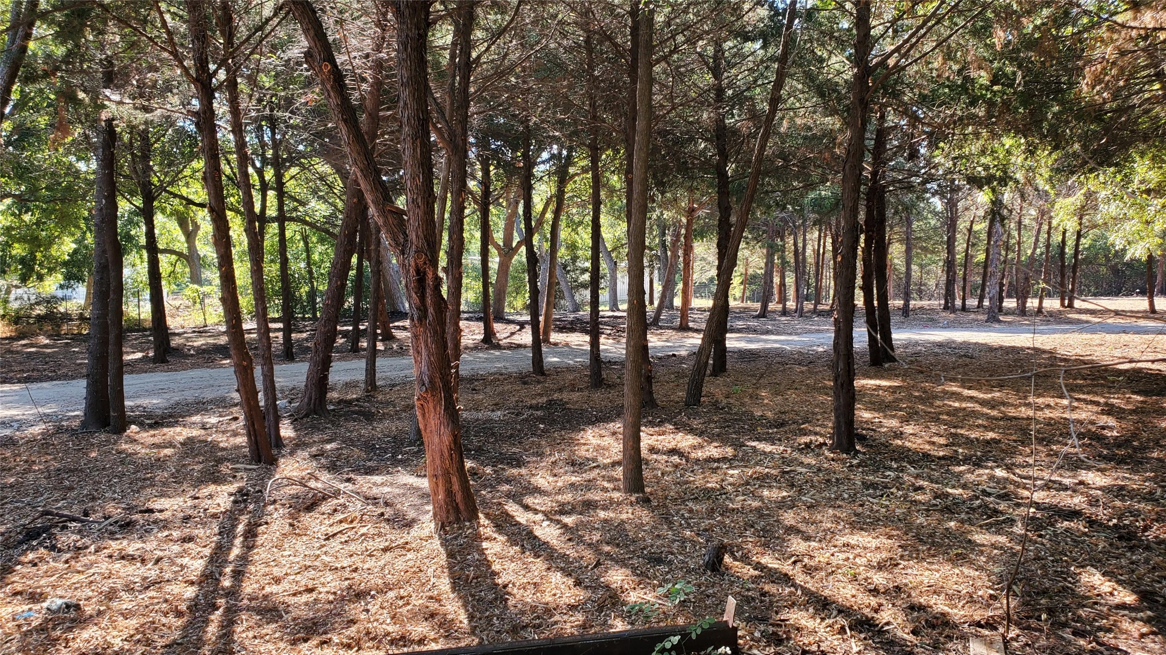 Land in Princeton 3