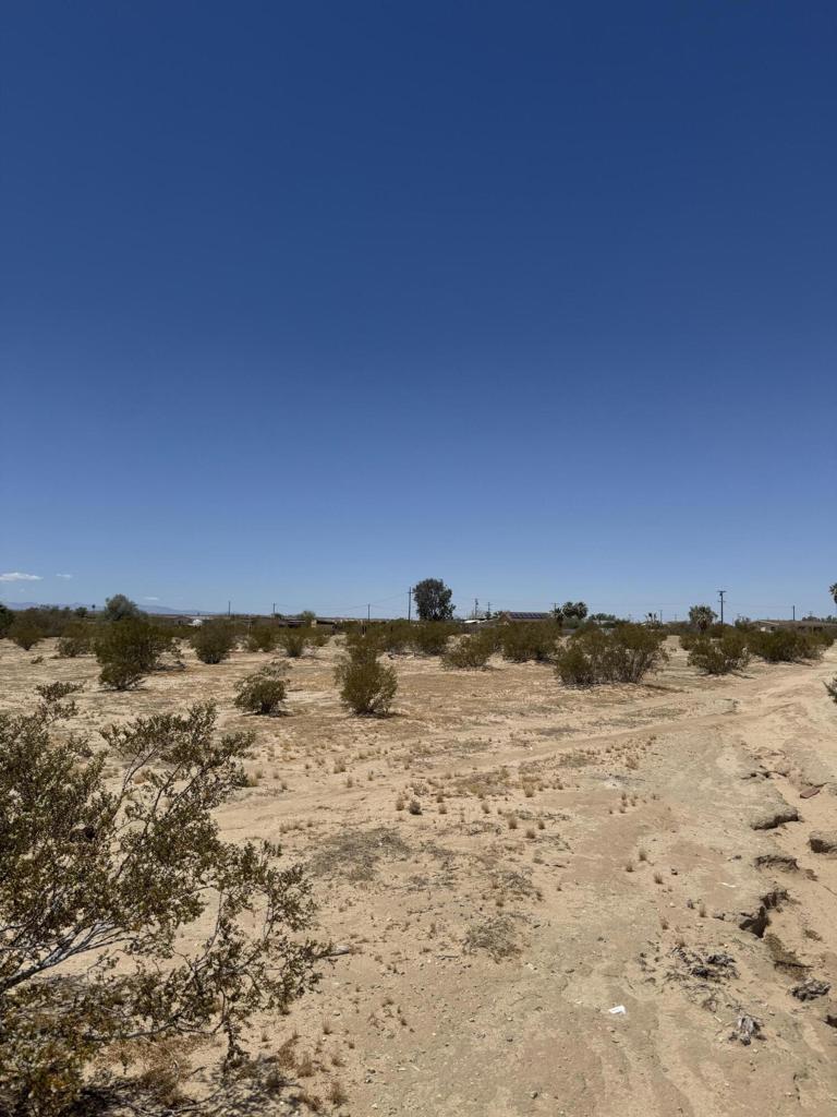 Land in 29 Palms 4