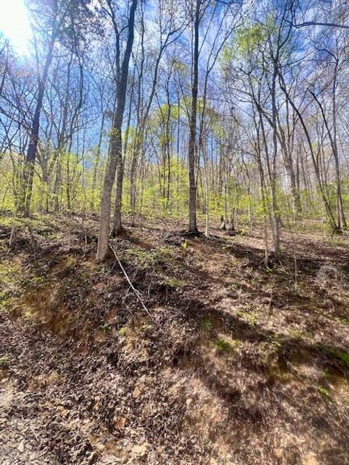 00 Gunter Hollow, Robbinsville, NC, 28771 | Card Image