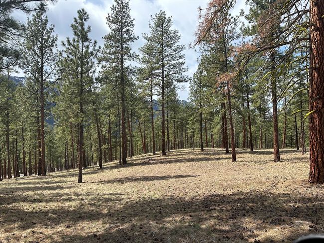 31760 Old Highway 10 W, Home with 0 bedrooms, 0 bathrooms and null parking in Alberton MT | Image 16