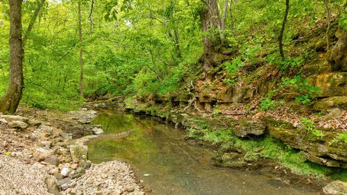 000 Woodland Dr, Hartville, MO, 65667 | Card Image