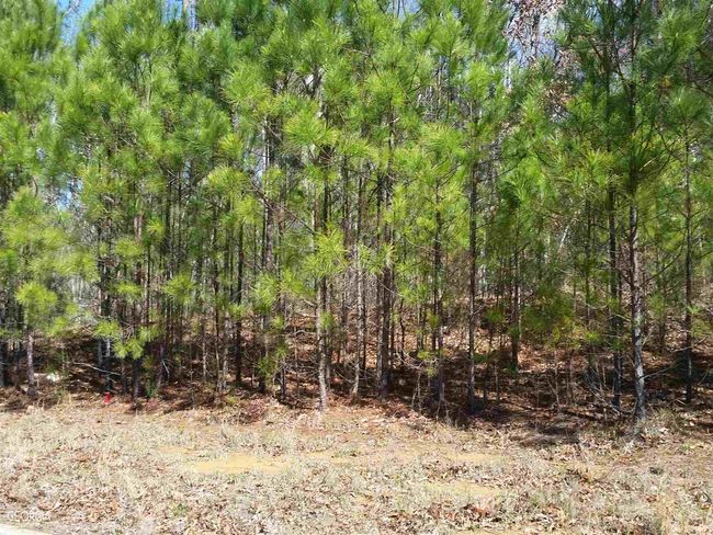 LOT-6 - 0 Shawnee Trl, Home with 0 bedrooms, 0 bathrooms and null parking in Dallas GA | Image 4