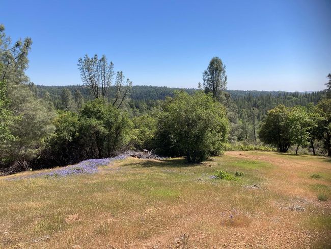 16688 Sonshine Ln, Home with 0 bedrooms, 0 bathrooms and null parking in Sutter Creek CA | Image 6