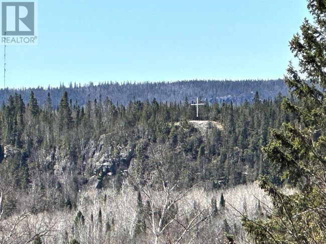 141 Mckirdy Ave, Home with 2 bedrooms, 1 bathrooms and null parking in Nipigon ON | Image 41