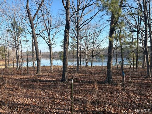 748 Miller Lake Rd, Van Buren, MO, 63965 | Card Image
