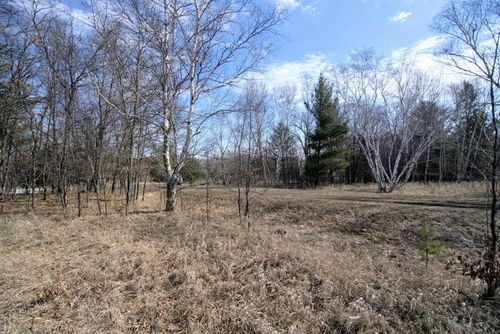 TBD Pacer Loop, Browerville, MN, 56438 | Card Image