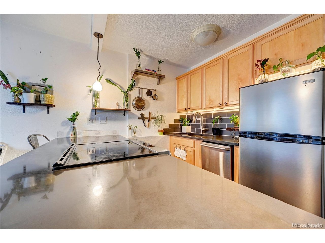 Residential in Denver 5