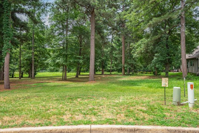 View of grassy yard | Image 11
