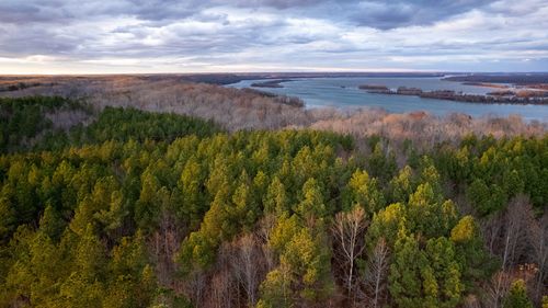 0 Coxburg Rd N, Holladay, TN, 38341 | Card Image