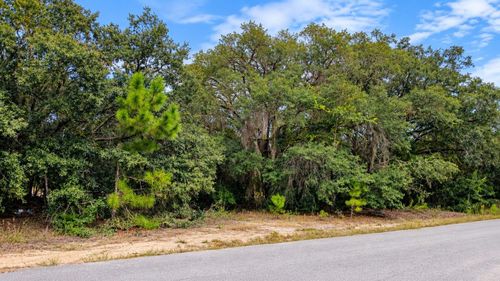 TBD Se Malauka Loop Run Road, OCKLAWAHA, FL, 32179 | Card Image