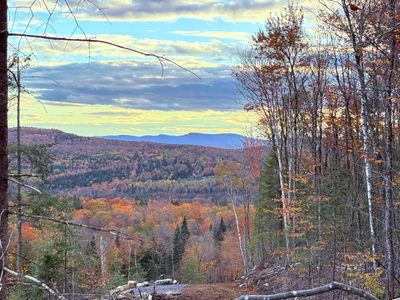 1180 Abbott Hill Road, Home with 0 bedrooms, 0 bathrooms and null parking in Newark VT | Image 3