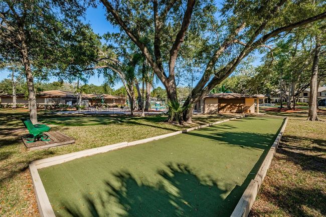 Bocce Ball | Image 53