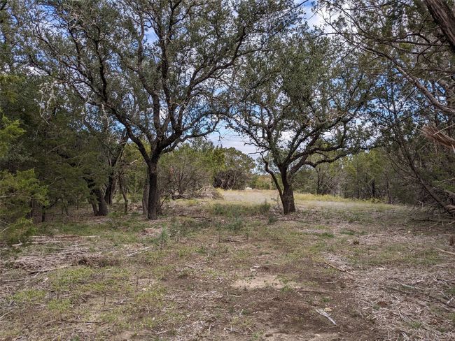 Lot 74 | Image 5