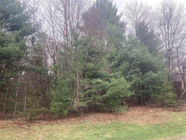 252 Berry Ln, Home with 0 bedrooms, 0 bathrooms and null parking in Wisconsin Dells WI | Image 4