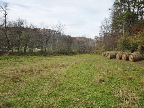 87 Frazer Br, Argillite, KY, 41121-8908 | Card Image