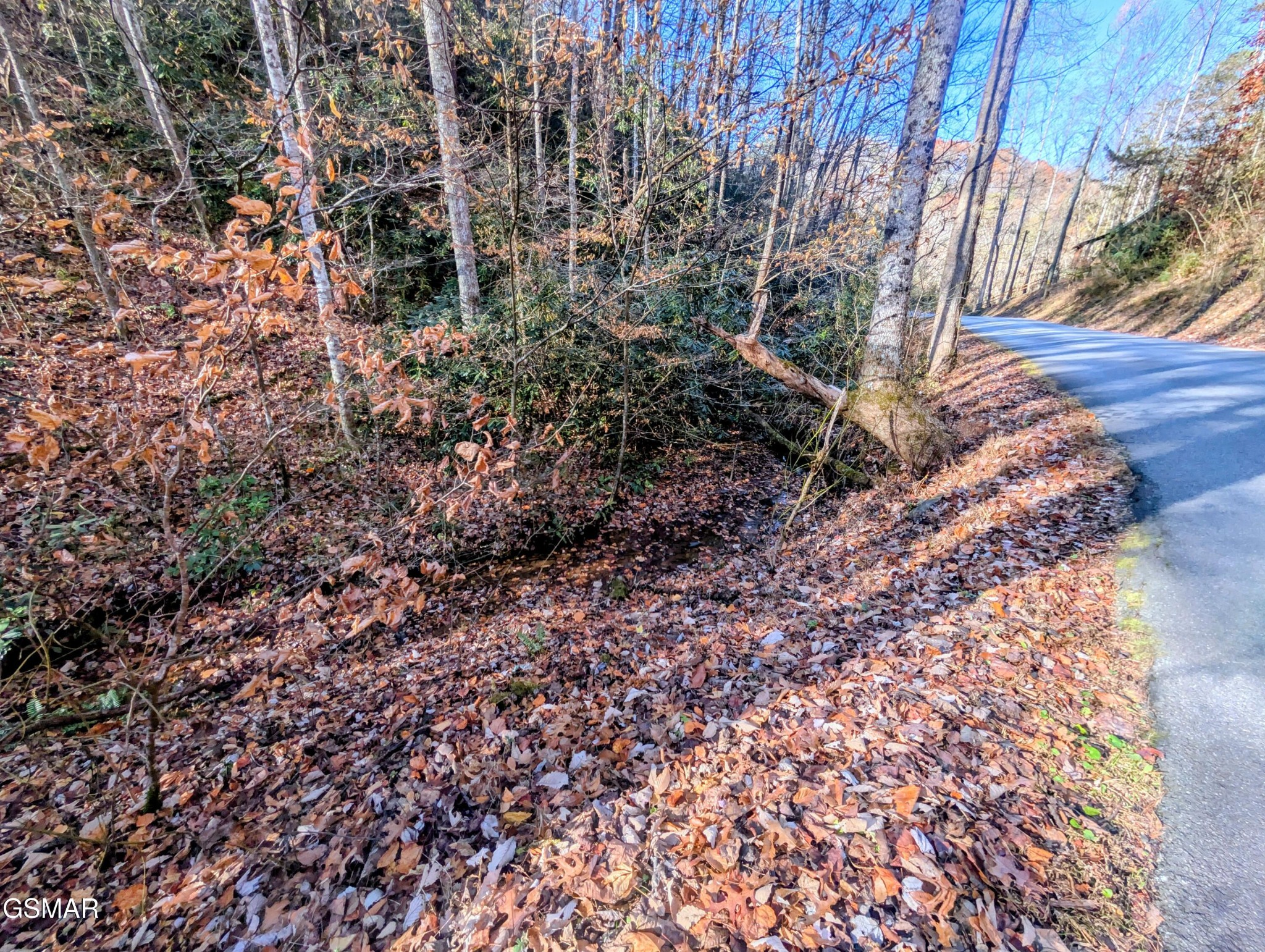 Land in Sevierville 3