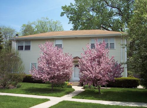 320 Central Park Ave, Wilmette, IL, 60091-3206 | Card Image