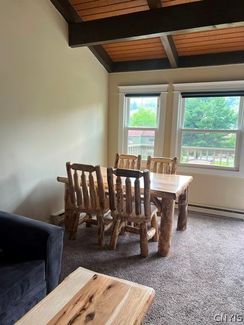Residential Lease in Virgil 4
