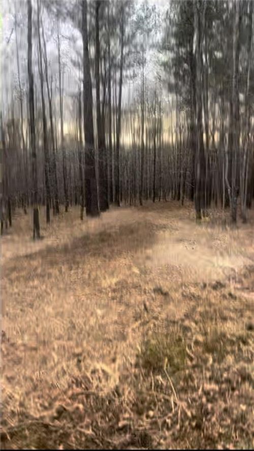 166 Lakecrest Ln, Sparta, GA, 31087 | Card Image