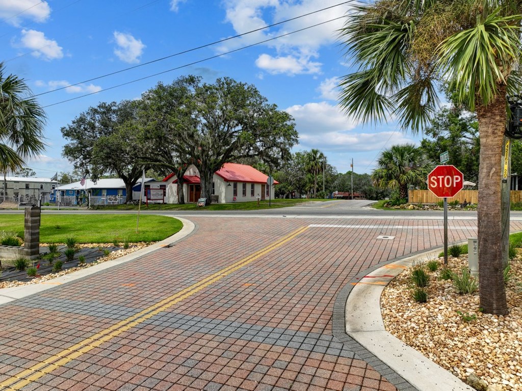 Land in Steinhatchee 5