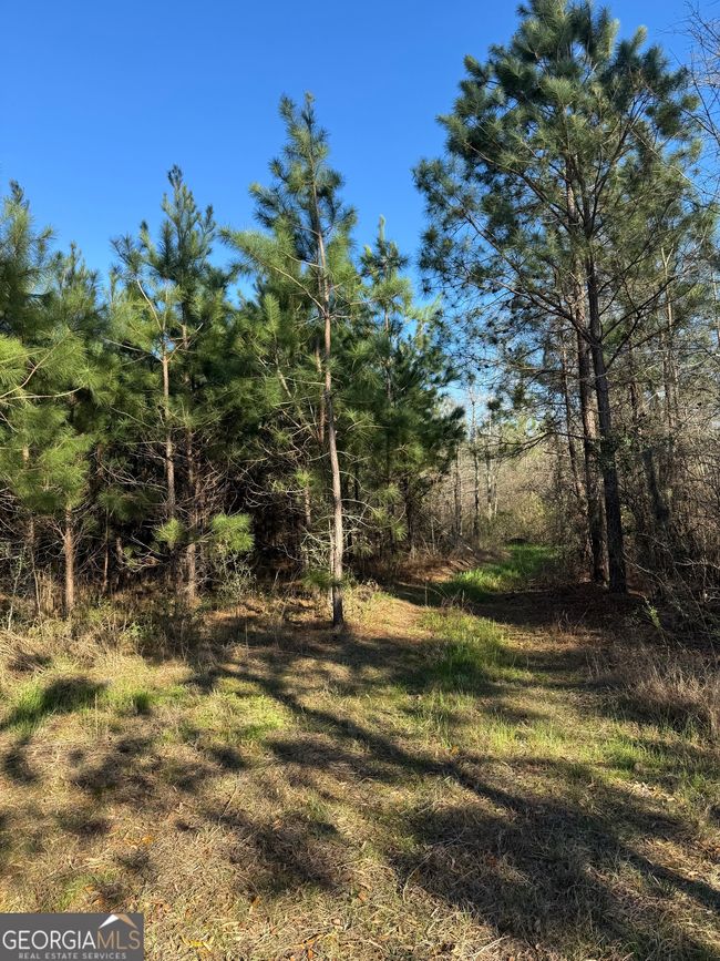 0 Hightower Rd, Home with 0 bedrooms, 0 bathrooms and null parking in Blakely GA | Image 4