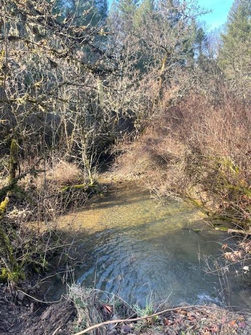 200 Hogue Dr, Selma, OR, 97538-9747 | Card Image