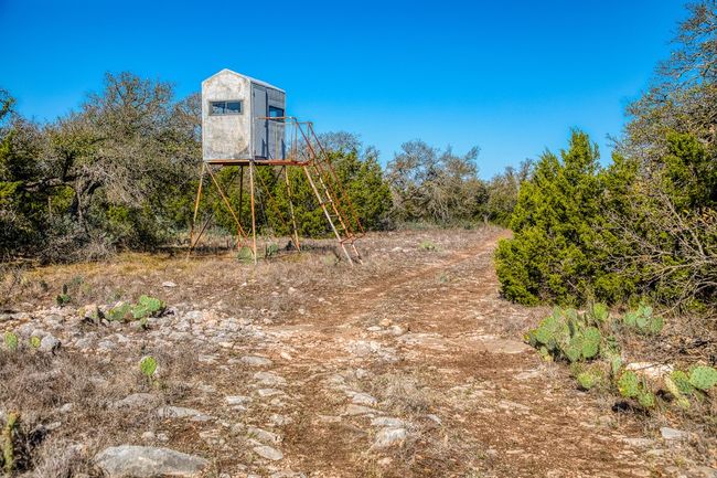 View of yard | Image 17
