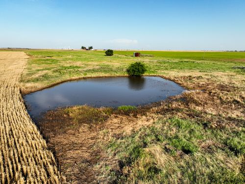 1250 County Road 4430, Knox City, TX, 79529 | Card Image