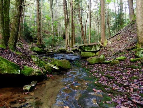 00 Braden Ln, Gruetli Laager, TN, 37339 | Card Image