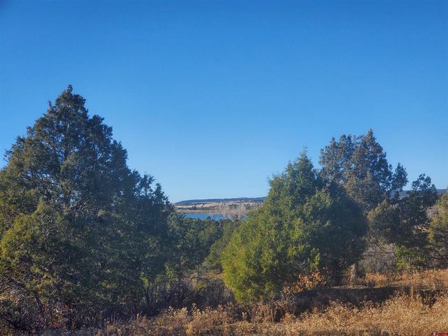 13989 Road 35.6, Home with 0 bedrooms, 0 bathrooms and null parking in Mancos CO | Image 23