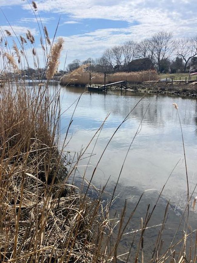 Water view featuring a dock | Image 28