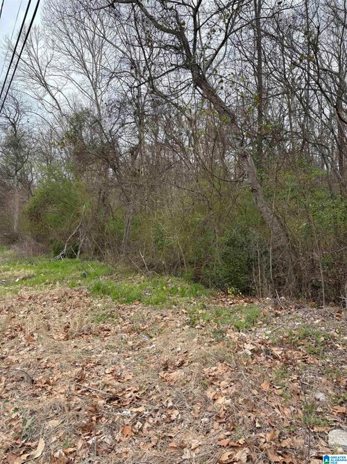 000-3637 Railroad St, DOLOMITE, AL, 35061-1133 | Card Image