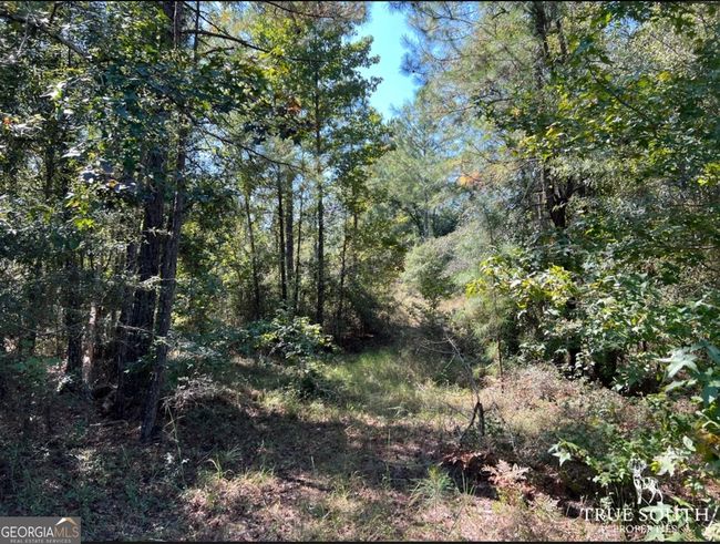 0 John S Horton Rd, Home with 0 bedrooms, 0 bathrooms and null parking in Adrian GA | Image 4