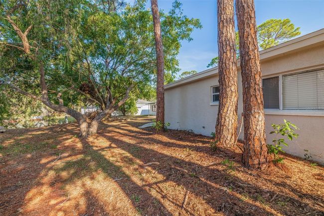 backyard | Image 35