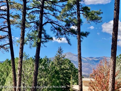 236 Timberline Dr, Ruidoso, NM, 88345-7735 | Card Image