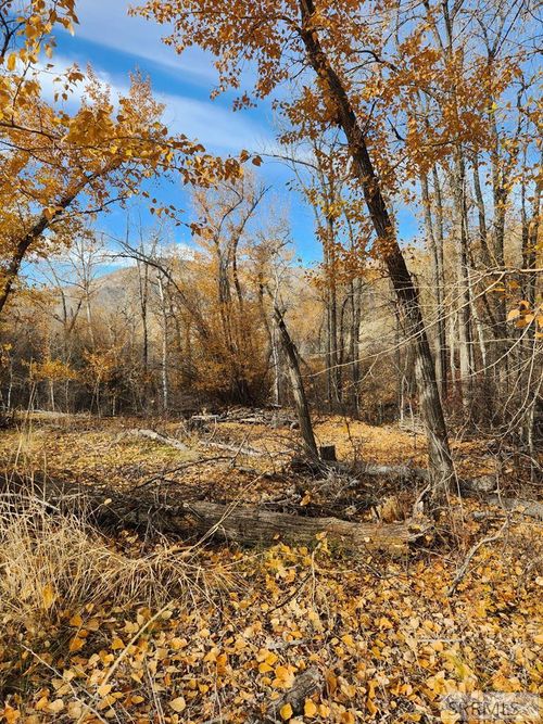 TBD Burden Rd, Salmon, ID, 83467 | Card Image