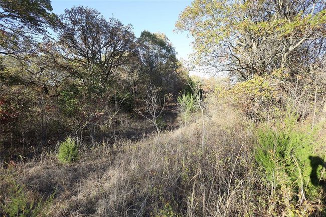 13207 N 357 Road, Home with 0 bedrooms, 0 bathrooms and null parking in Maud OK | Image 5