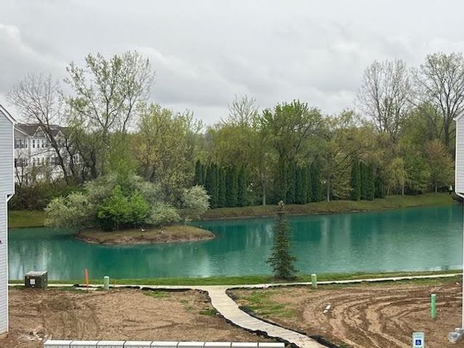 POND VIEW | Image 14