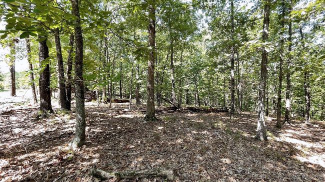 492 Deer Creek Rd, Home with 0 bedrooms, 0 bathrooms and null parking in Kansas OK | Image 9