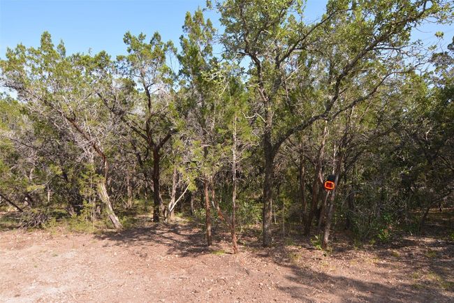 18202 Easy St, Home with 0 bedrooms, 0 bathrooms and null parking in Jonestown TX | Image 9