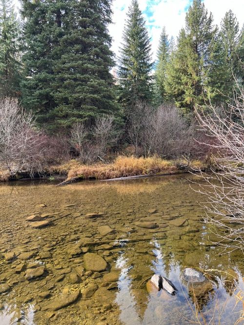 NHN N Fork Yaak Rd, Troy, MT, 59935 | Card Image