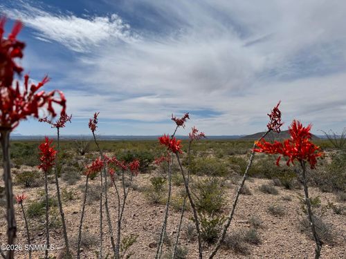 TBD Hardrock Road, Las Cruces, NM, 88011 | Card Image