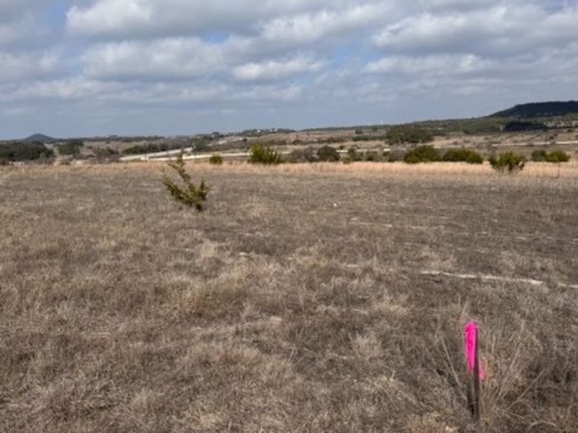 229 E Rolling Oaks Dr, Home with 0 bedrooms, 0 bathrooms and null parking in Goldthwaite TX | Image 4