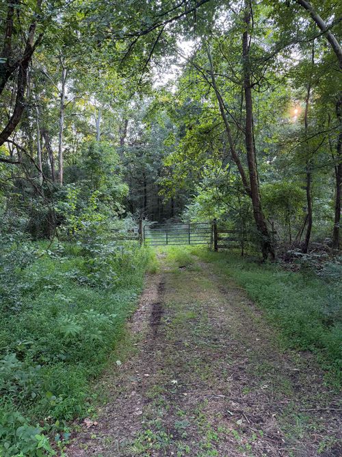 00000 Frankfort Rd, Tuscumbia, AL, 35674 | Card Image