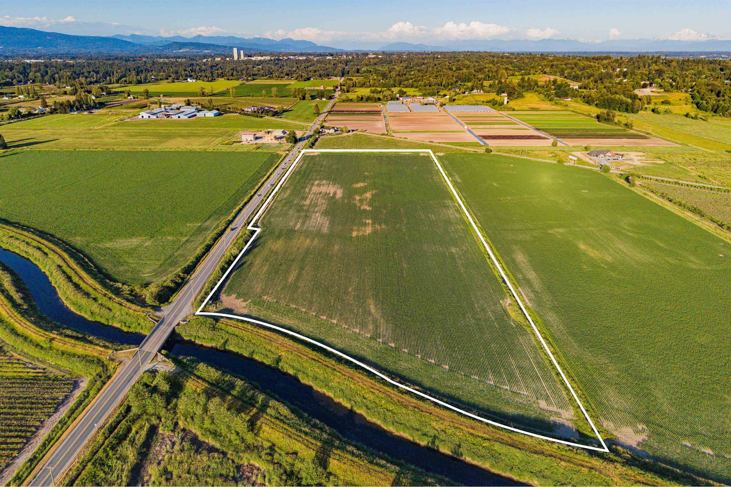 Land in Surrey 2