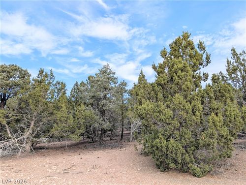 Lot 1-A Side Hill Rd, Pioche, NV, 89043 | Card Image